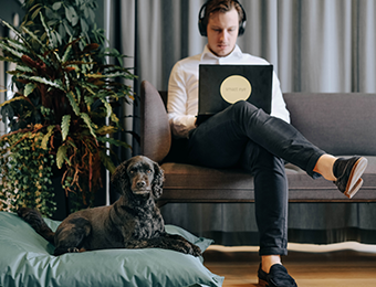 eye tracking technology with office dog